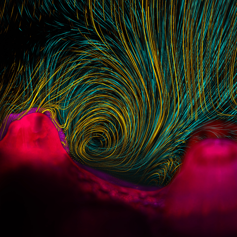 Illustration for article titled A mind-blowing gallery of the best science visualizations from 2013